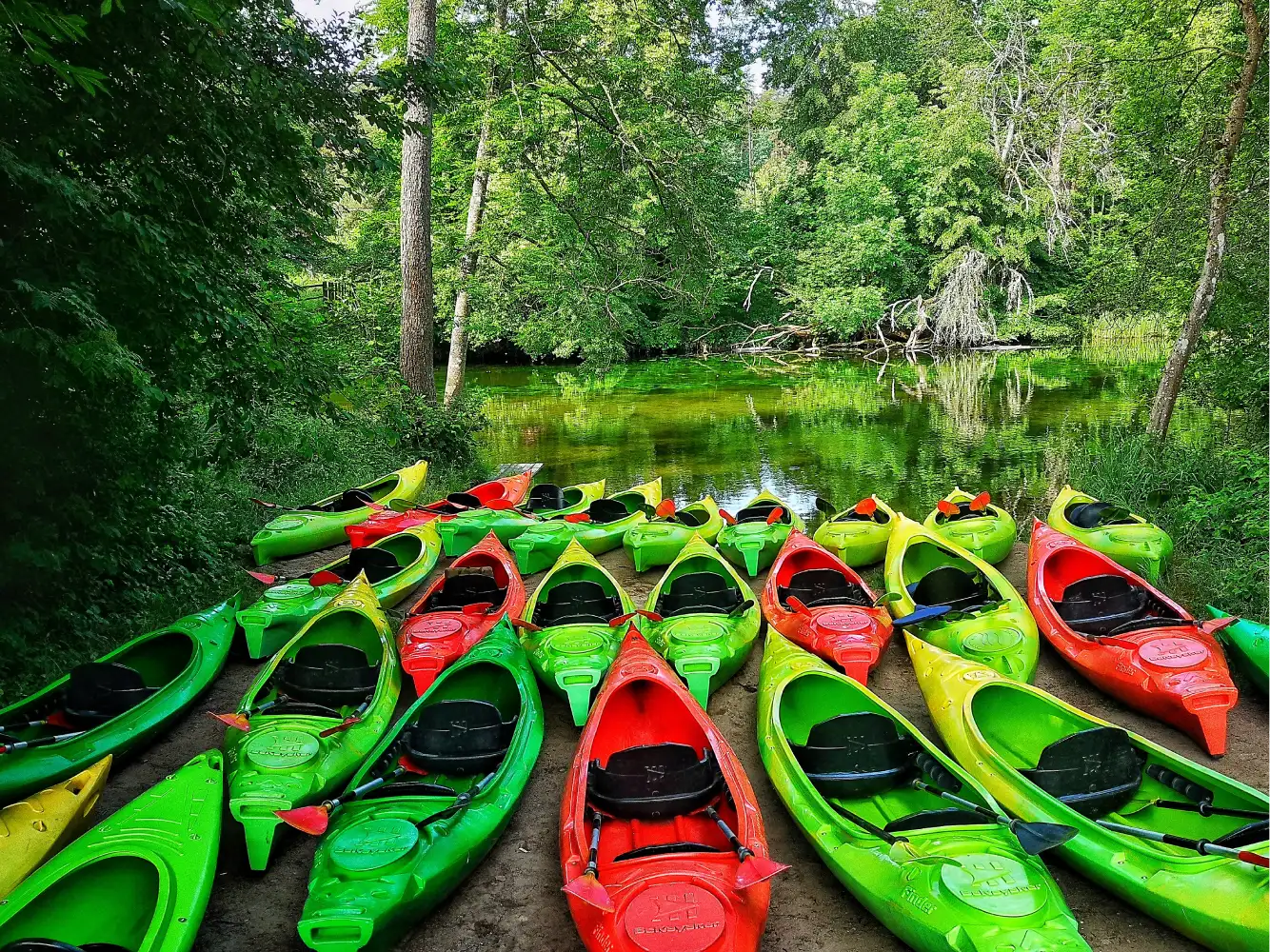 Spływ kajakowy Krutynią: Dlaczego to najlepszy sposób na spływ firmowy, który scali Twój zespół?